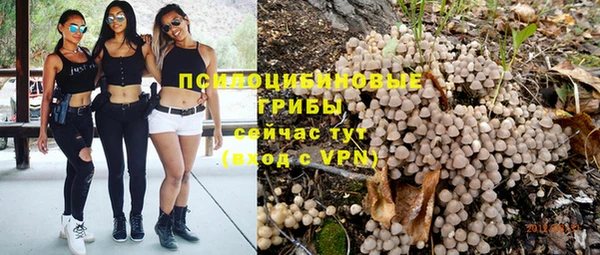 ПСИЛОЦИБИНОВЫЕ ГРИБЫ Абдулино