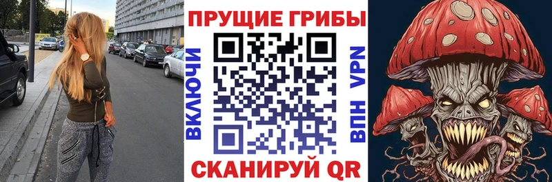 ОМГ ОМГ маркетплейс  Усть-Лабинск  Галлюциногенные грибы ЛСД  сколько стоит 
